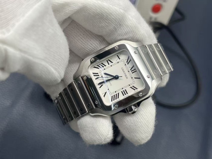 Cartier Santos Watch FZSB038