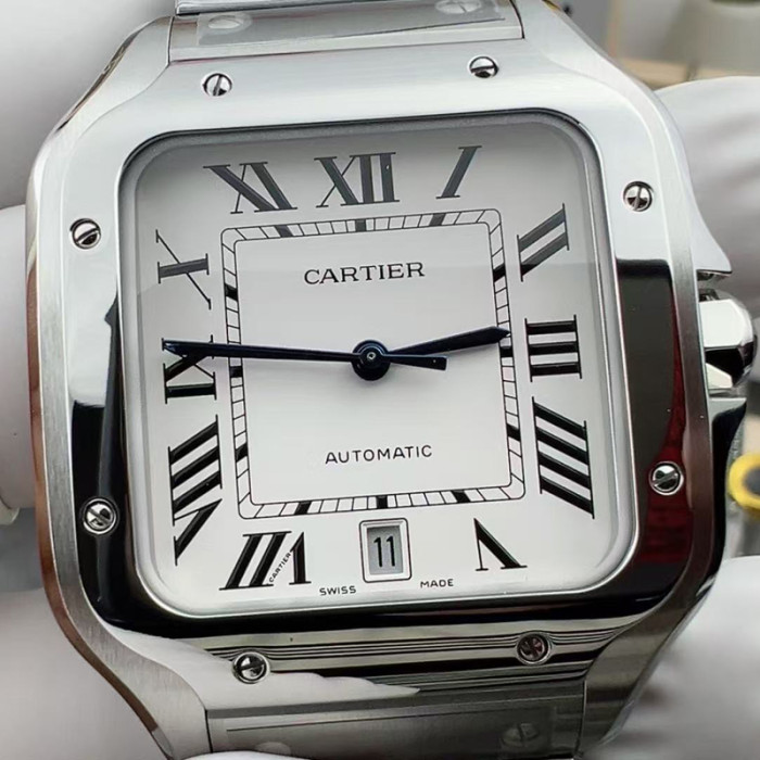 Cartier Santos Watch FZSB038