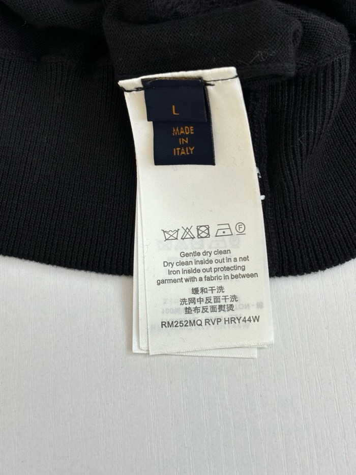 LV Sweater FZMY843