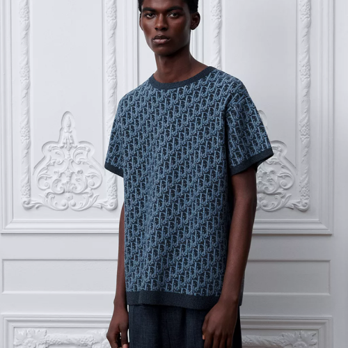 Dior Oblique knitted tee FZTX6087