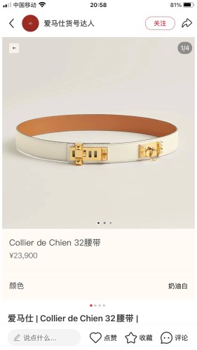 HERMES Collier de Chien 32MM BELT FZYD270