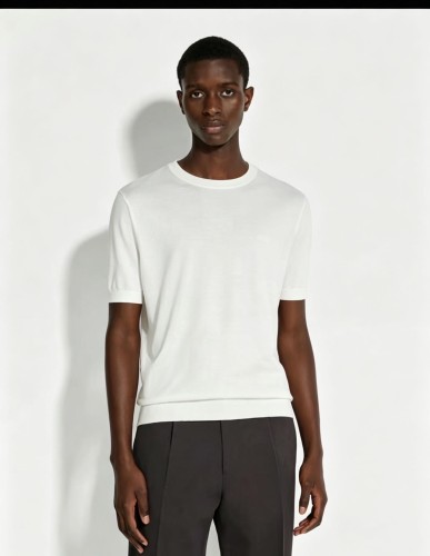 Zegna knitted Tee FZTX6332