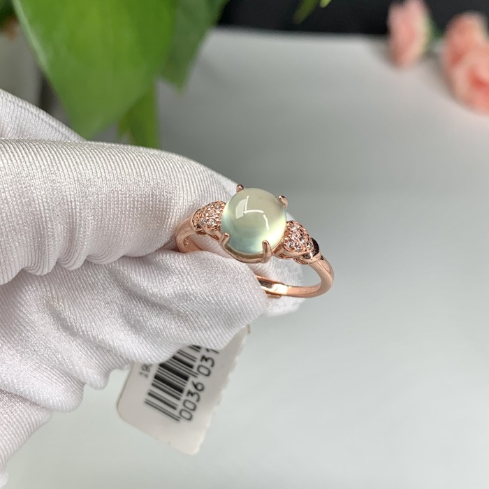 Graptolite ring
