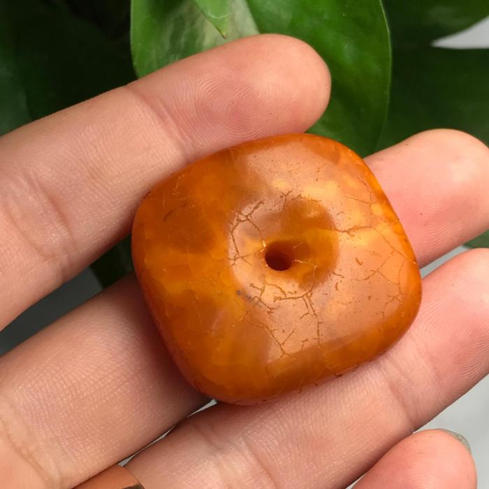 Fenghua Amber