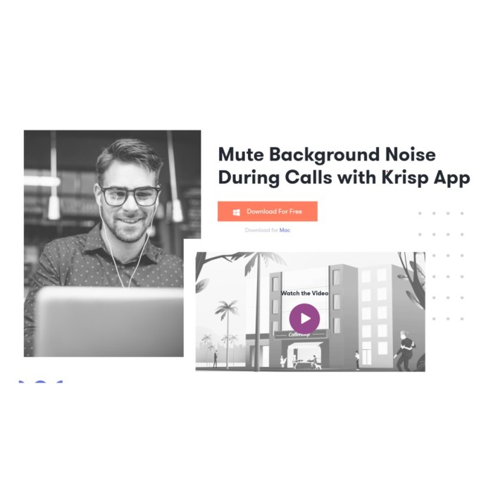 Original Krisp Own Account upgrade 100% legit Mute background noise for mac