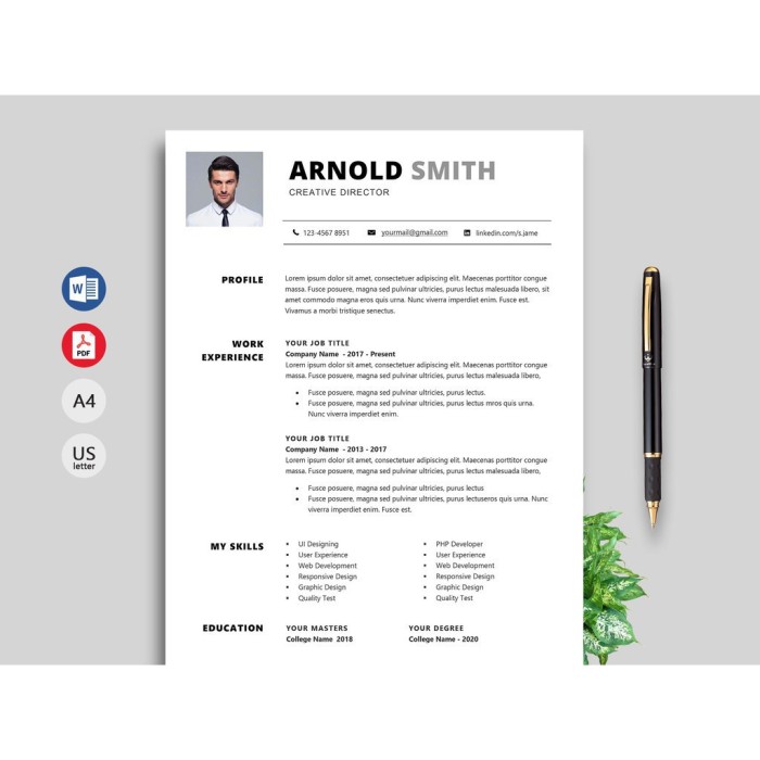 330+12 Sets Premium Resume Template Bundle with CV and Cover Letter [Format Microsoft Word/ PowerPoint/ Psd/ Ai]