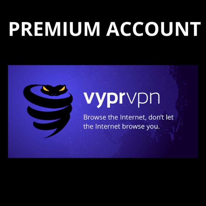 Vypr VPN Premium Autorenew Account