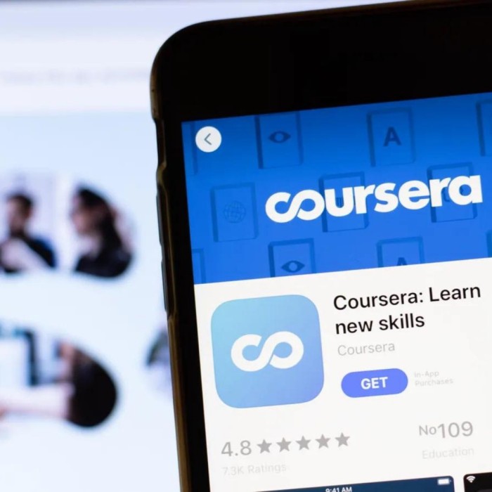 Coursera Plus Personal Account | Existing Account | Professional Certificate included |
