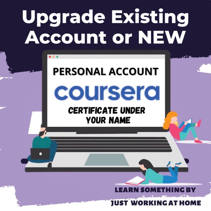 Coursera Plus Personal Account | Existing Account | Professional Certificate included |