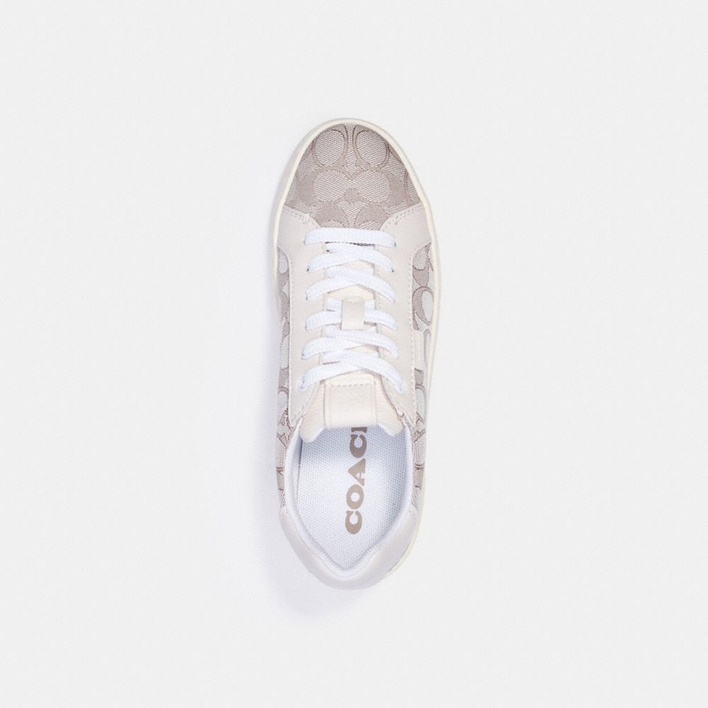 lowline low top sneaker