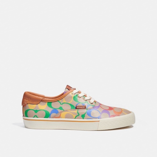 lowline low top sneaker in rainbow signature canvas