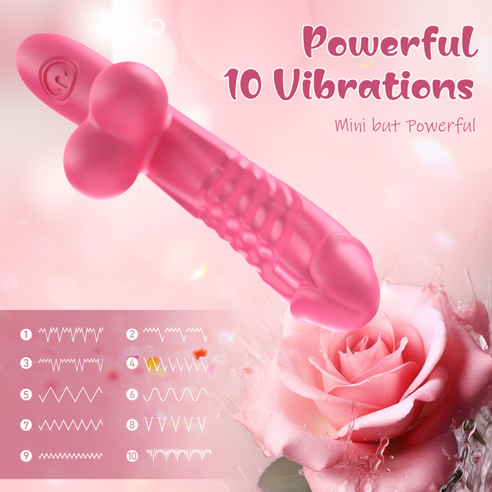 Best Mini Dildo Gift With 10 Vibration Modes