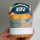 adult SB Dunk Thomas Campbell What the Dunk multicolor