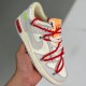 adult Dunk Low Lot The 40 beige red