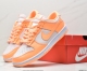 SB Zoom Dunk Low Orange