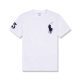 Summer 23SS Men's Adult casual embroidery short sleeved Crewneck t shirt