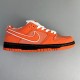 Nike SB Dunk Low Concepts Orange LobsterFD8776-800