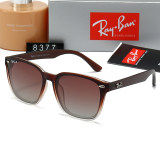 polarized sunglasses (with box)