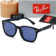 polarized sunglasses (with box)