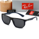 polarized sunglasses (with box)