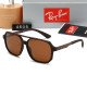 polarized sunglasses (with box)