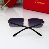 sunglasses (with box)