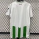 adult Real Betis Balompié 2023-2024 Mens Shirts Soccer Jersey Shirt Quick Dry Casual Short Sleeve white Green