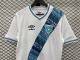 adult GUATEMALA OLYMPIA 2023-2024 Mens Shirts Soccer Jersey Shirt Quick Dry Casual Short Sleeve white blue