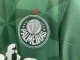 adult Sociedade Esportiva Palmeiras 2023-2024 Mens Shirts Soccer Jersey Shirt Quick Dry Casual Short Sleeve green