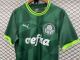 adult Sociedade Esportiva Palmeiras 2023-2024 Mens Shirts Soccer Jersey Shirt Quick Dry Casual Short Sleeve green