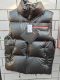 Men's winter thickened warm Down vest black PR66