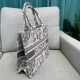Women's Book Tote Stripe Printed Embroidered Tote Bag Handbag Shopping Bag 1003