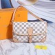 Women's LOUIS VUITTON Diane PM Classic Printed Canvas Coating Single Shoulder Crossbody Handbag 332