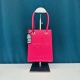 Women's Solid color fashionable crossbody camera bag 9771