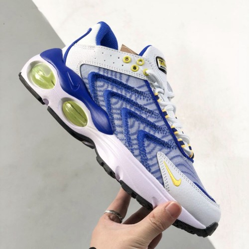 TN Air Max Tw Basketball shoes Blue