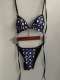 Adult women's split swimsuit bikini BLV203