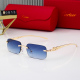 PANTHERE sunglasses 0813 (with box)
