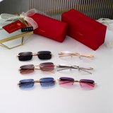 PANTHERE sunglasses 0813 (with box)