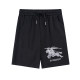 Adult 2024 New Men's Embroidered Classic Logo Shorts Black 718#202468