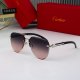 Panthere New Metal Texture Light Luxury Fashion Gradient Lens High-end Brand Tourism Sunglasses 0855