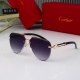 Panthere New Metal Texture Light Luxury Fashion Gradient Lens High-end Brand Tourism Sunglasses 0855