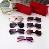 Panthere New Metal Texture Light Luxury Fashion Gradient Lens High-end Brand Tourism Sunglasses 0855