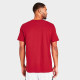 Men's Adult Fashion Print Cotton Casual Short Sleeve T-Shirt Red FN-0689