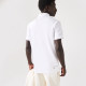 Summer Men's Adult Simple Hundred Casual Short Sleeve Polo Shirt White 22323#