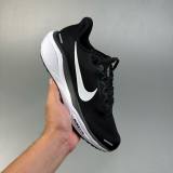 Zoom Pegasus 41 Retro Low Top Casual Sneaker Black FZ5526