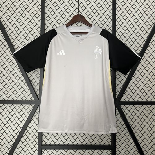 2425 Mineiro Athletic Training Suit Jersey Soccer Gray