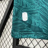 2425 Santiago Wanderers Home Jersey Soccer Dark Green
