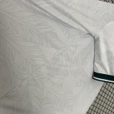 2425 Santiago Wanderers Away Jersey Soccer White Green