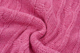 Autumn Winter Women's Solid Color Simple Zipper Knit Sweater