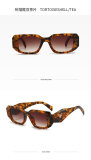 5A Simple Versatile Sunglasses 8769
